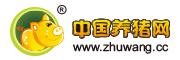 wwwzhuwangcc